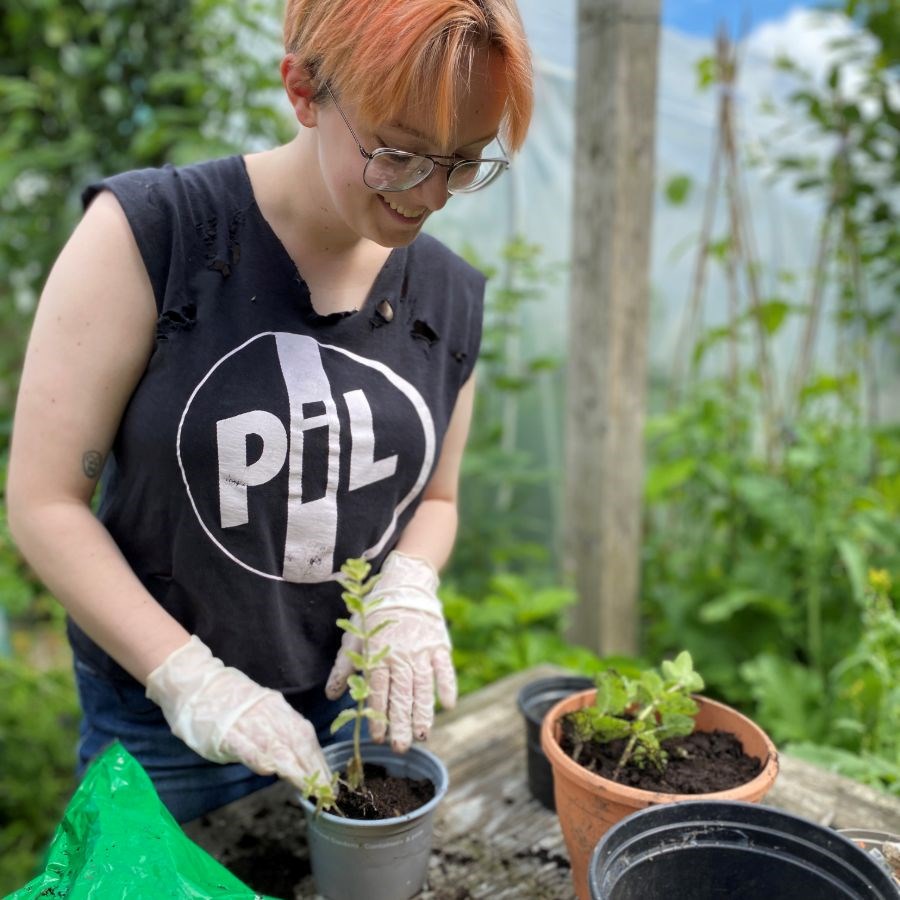 Young person planting a plant